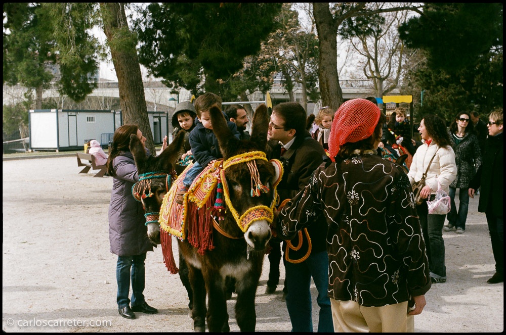 Paseos en burro para los niños en la arboleda de Macanaz.